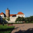Zamek Głogowski - widok z parku